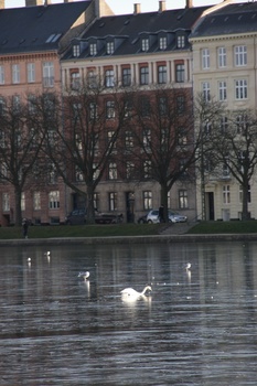 ./20080216-100809.jpg