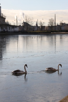 ./20080216-100832.jpg