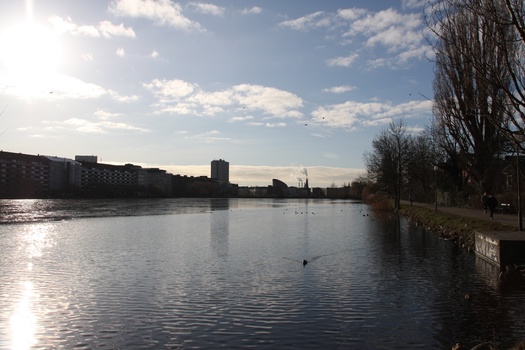 ./20080216-101219.jpg