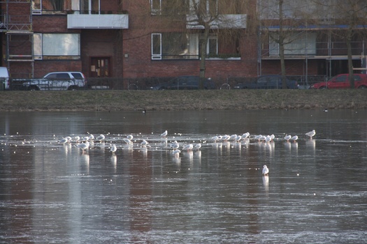 ./20080216-101507.jpg