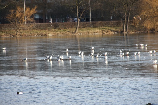 ./20080216-101958.jpg
