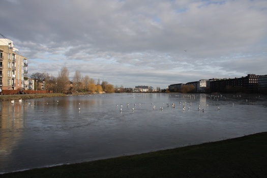 ./20080216-102315.jpg