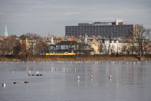 ./20080216-102341.jpg