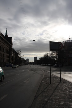 ./20080216-105221.jpg