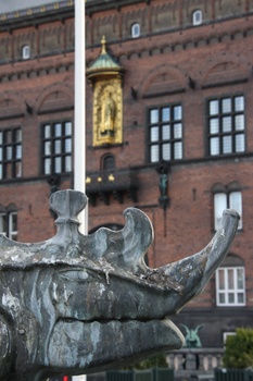 ./20080216-105252.jpg