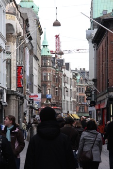 ./20080216-105542.jpg