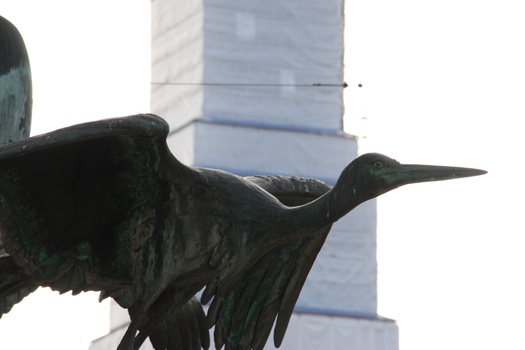 ./20080216-110425.jpg