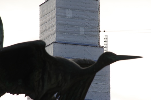 ./20080216-110429.jpg