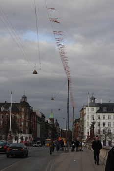 ./20080216-113307.jpg