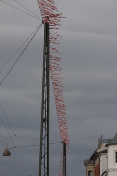 ./20080216-113321.jpg