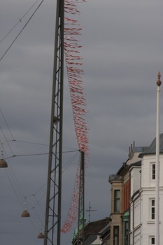 ./20080216-113337.jpg