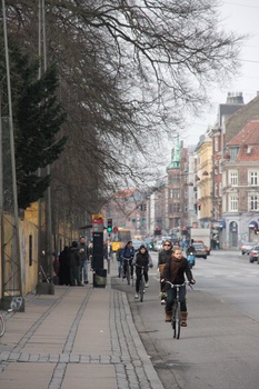 ./20080217-140110.jpg