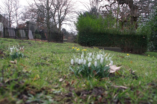 ./20080217-140419.jpg