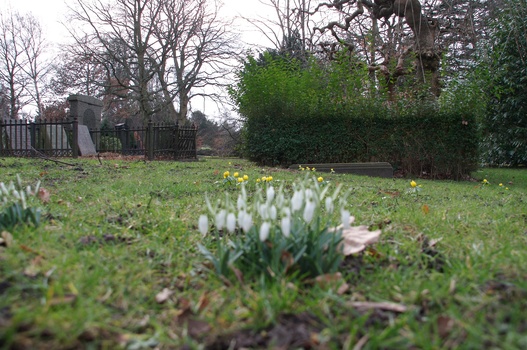 ./20080217-140430.jpg