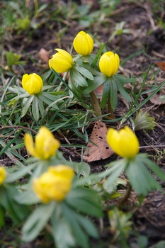 ./20080217-140534.jpg