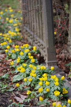 ./20080217-140645.jpg