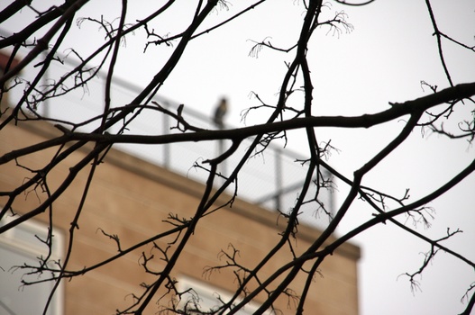 ./20080217-141229.jpg