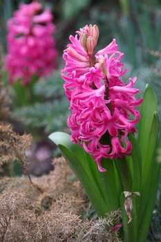 ./20080217-142055.jpg