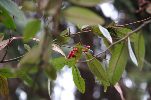 ./20080217-142347.jpg
