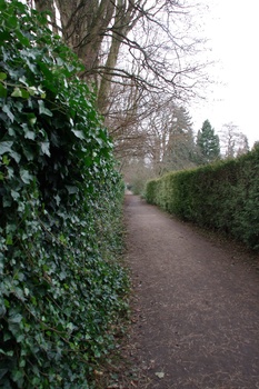 ./20080217-142454.jpg