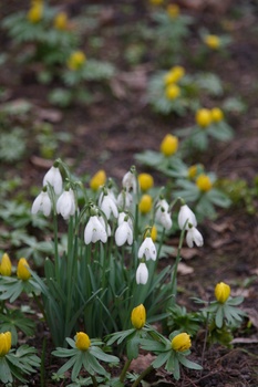 ./20080217-142610.jpg