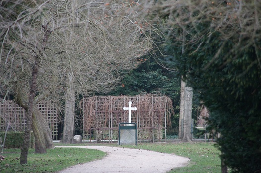 ./20080217-142717.jpg