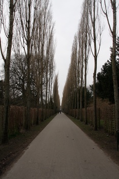./20080217-143038.jpg