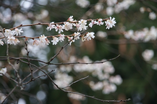 ./20080217-143409.jpg