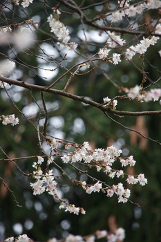 ./20080217-143428.jpg