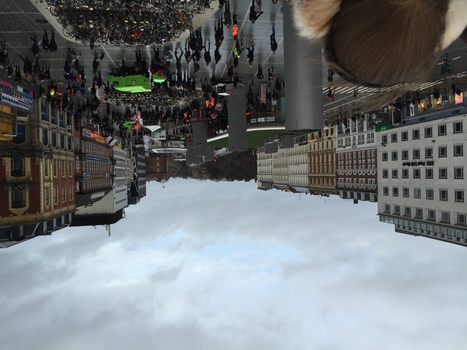 ./20150110-132044.jpg