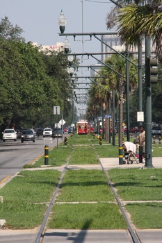 ./20110701-221844.jpg
