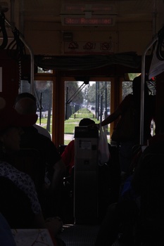 ./20110701-222133.jpg