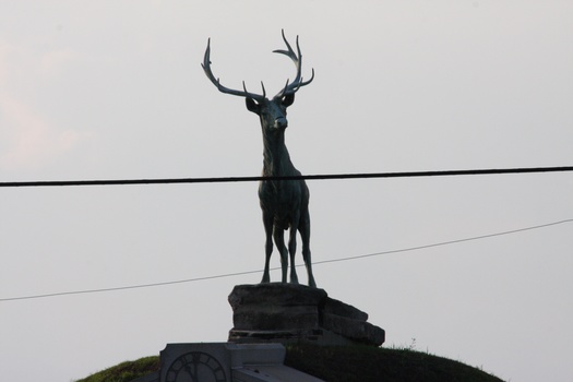 ./20110702-010009.jpg