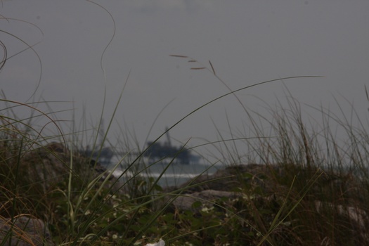 ./20110703-173246.jpg
