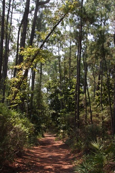 ./20110703-175829.jpg
