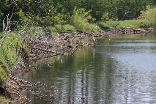 ./20110703-180458.jpg