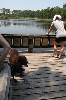 ./20110703-180622.jpg