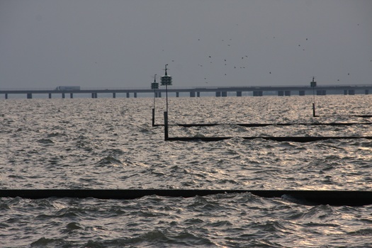 ./20110704-011535.jpg