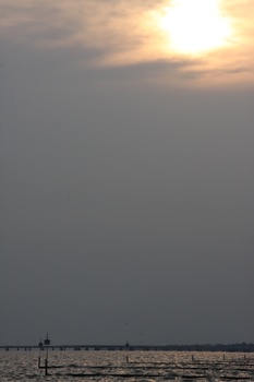 ./20110704-011543.jpg