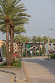 ./20110704-133959.jpg