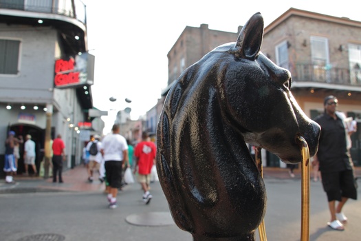 ./20110705-002911.jpg