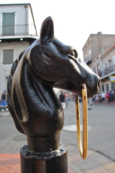 ./20110705-002932.jpg