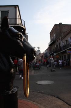 ./20110705-002936.jpg
