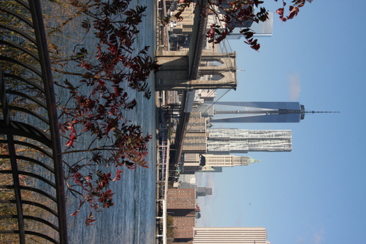 ./20131025-155630.jpg