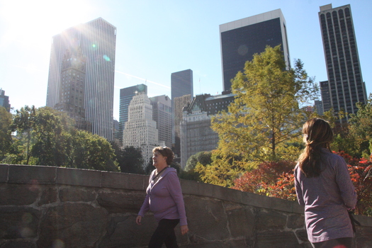 ./20131027-162016.jpg