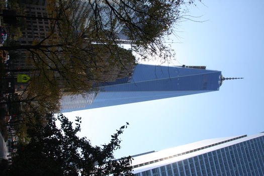 ./20131028-172422.jpg