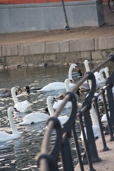 ./20090101-144741.jpg