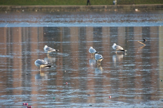 ./20090101-145113.jpg