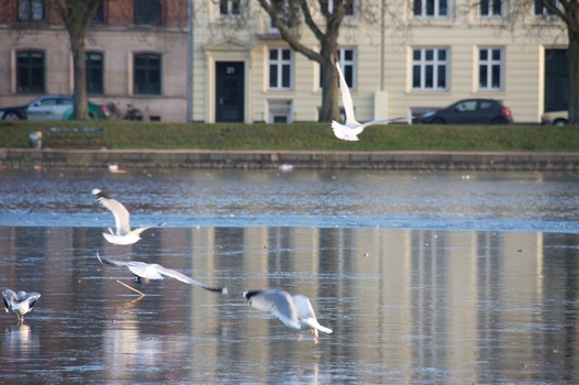 ./20090101-145117.jpg