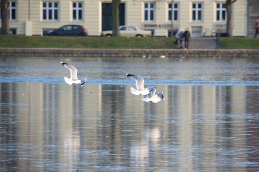 ./20090101-145118.jpg